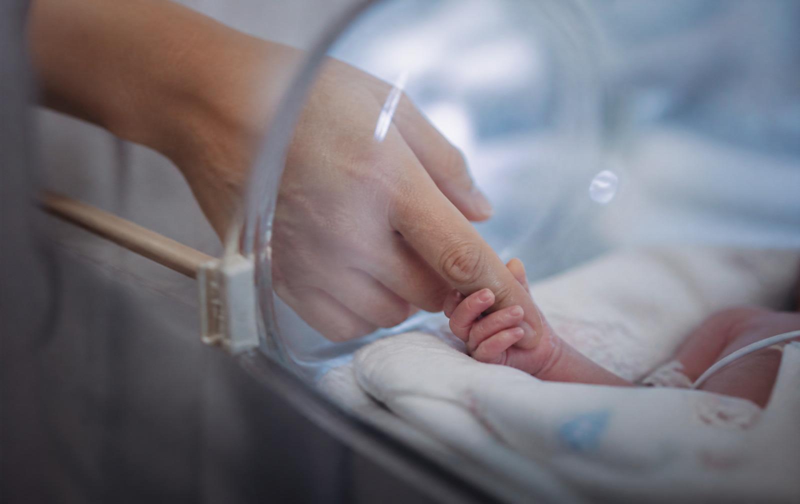 A mother's hand reaching into an incubator to hold her newborn's tiny hand