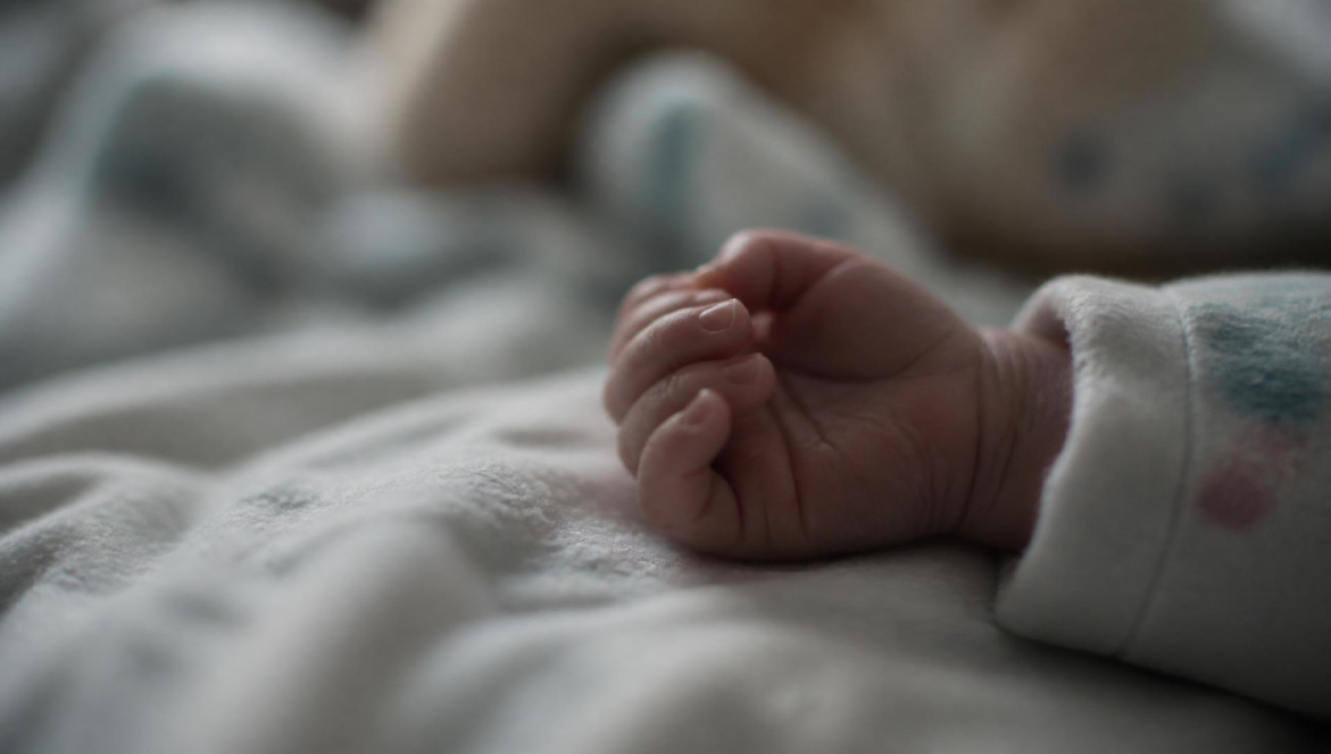 A newborn's hand alone